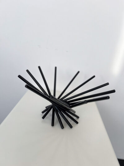 Satellite - Carlo Contin